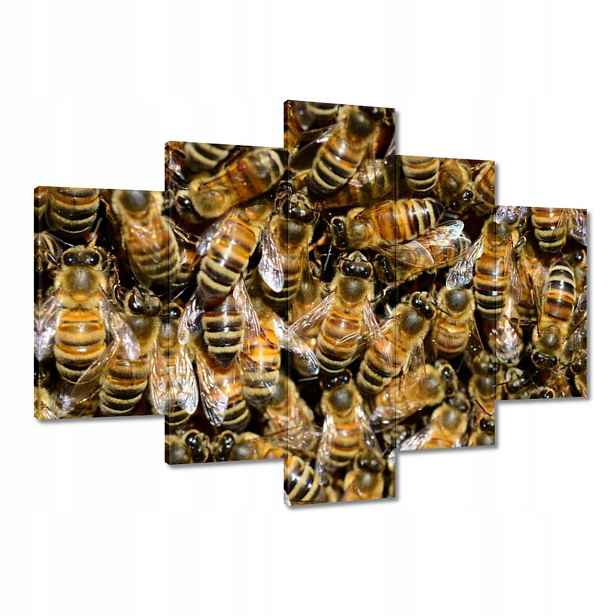 Obrazy 150x105 Včelky během práce