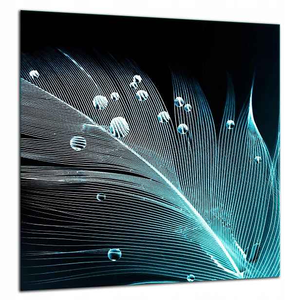 7v1 Skleněná Ochranná Deska Panel Lepidlo 60x65 Pero