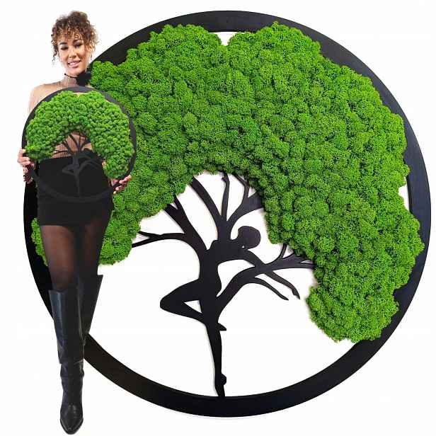 Obraz Z Mechu strom štěstí života Mech Chrobotek Bonsai 50 cm Kvalita