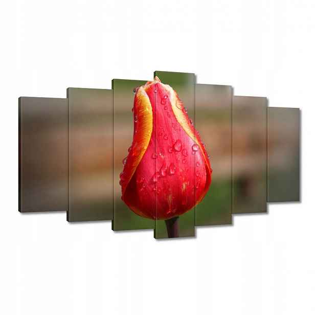 Obrazy 140x80 Červeno-žlutý tulipán