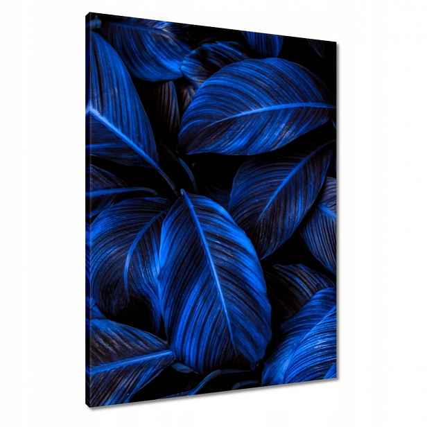 Obrazy 60x80 Modré listy