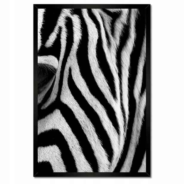Plakáty v rámu 40x60 Černobílé pruhy Zebra