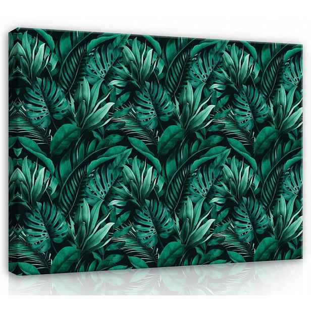 Obraz Na Plátně Canvas 70x50 Listy Rostliny Monstera Palma Džungle Příroda