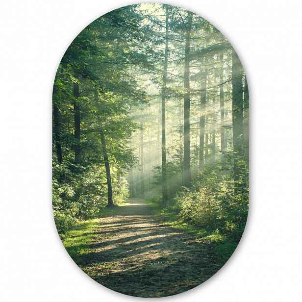 MuchoWow NÁSTĚNNÝ OBRAZ Les - Cesta - Slunce - Stromy - Zelená - Příroda 40x60 cm
