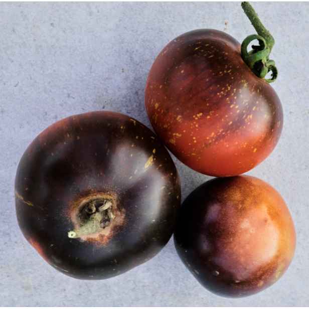 Culina Botanica Rajče Cosmos