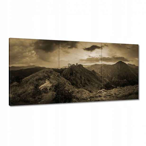 Obrazy 120x60 Hnědá krajina Krajina