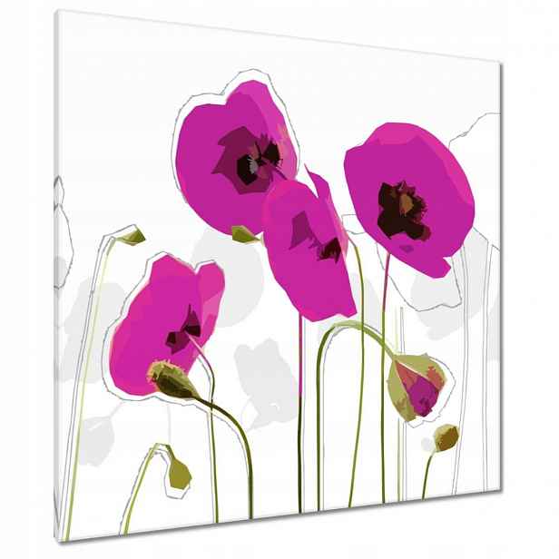 Obrazy 90x90 Fialové máky Květina