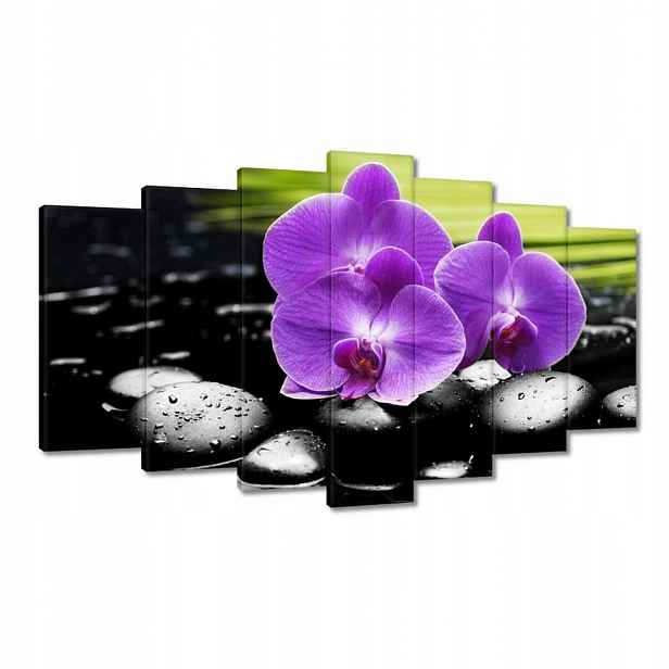 Obrazy 140x80 Fialové orchideje