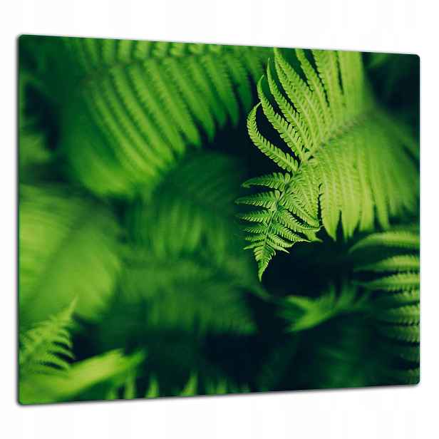 Skleněná Ochranná Deska Panel Lepidlo 65x60 Listy