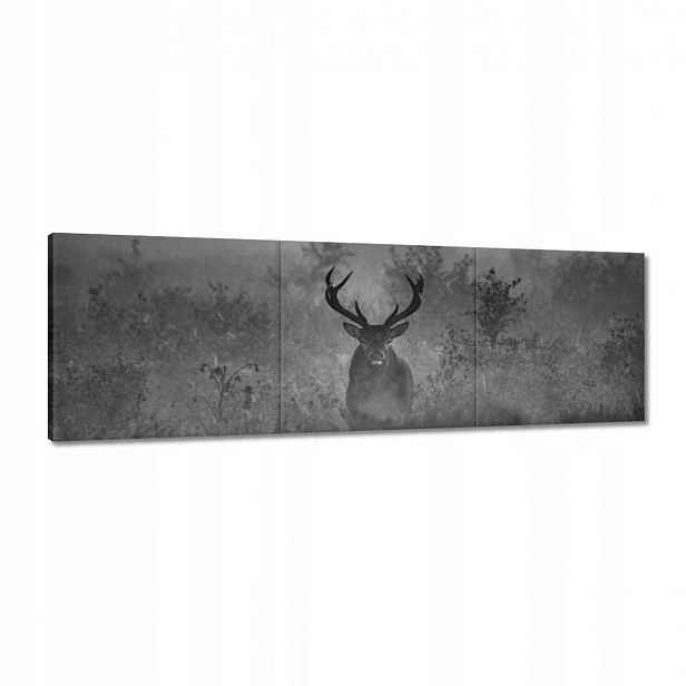 Obrazy 120x40 Jelen v mlze