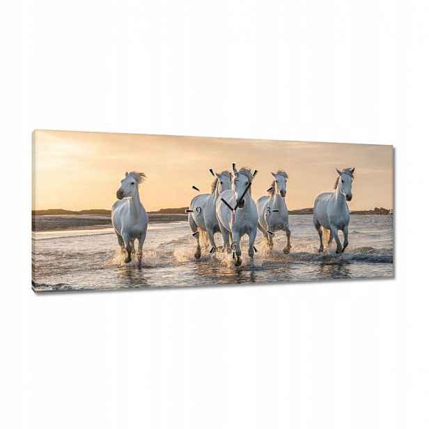 Hodiny 100x40 Divocí koně Wild Horses