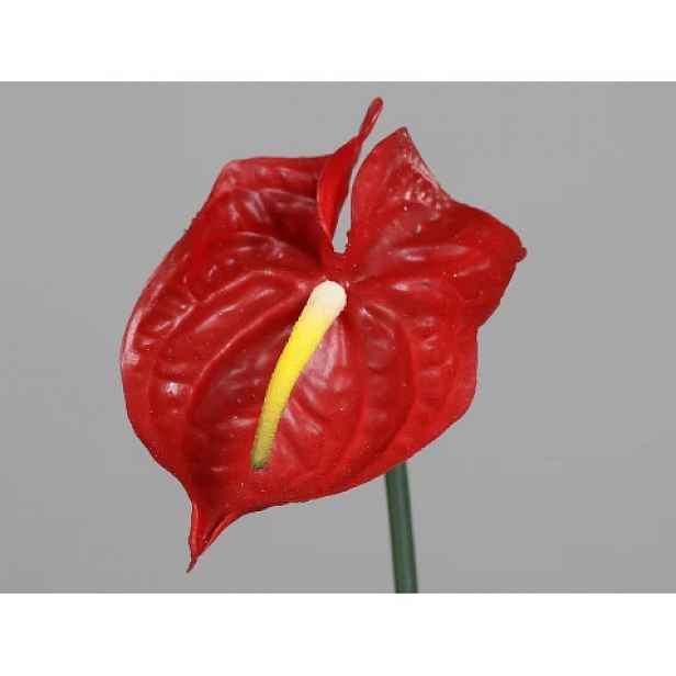 Umělá květina Anthurium 65 cm, červená