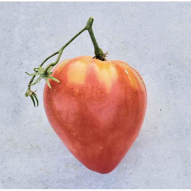 Culina Botanica Rajče Cardinal Marciani
