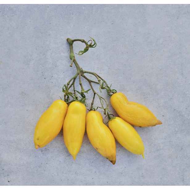 Culina Botanica Rajče Banana Leg