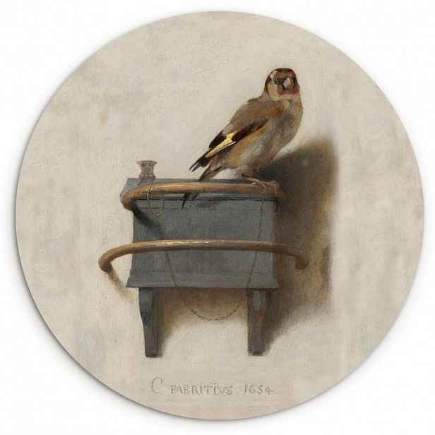 MuchoWow NÁSTĚNNÝ OBRAZ Zlatohlávek - Starý mistr - Carel Fabritius 30x30 cm