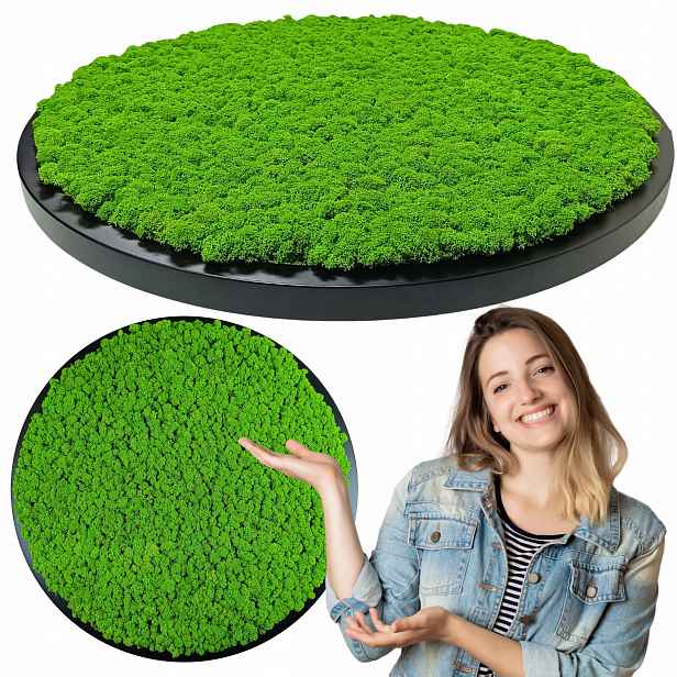 Obraz v dřevěném kulatém černém rámu s Mechem Chrobotkem, průměr 30 cm