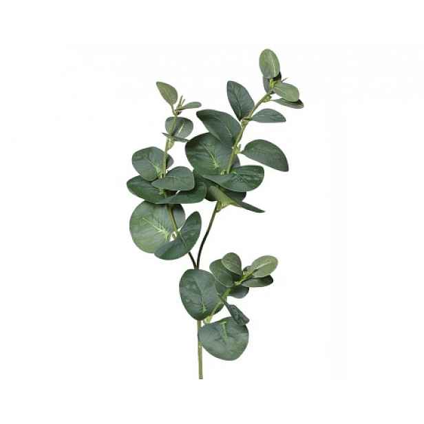 Umělá rostlina Eukalyptus 64 cm, zelená