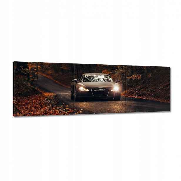 Obrazy 120x40 Audi Podzimní krajina