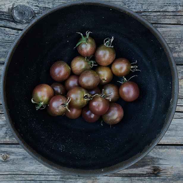 Culina Botanica Rajče Negro Azteca