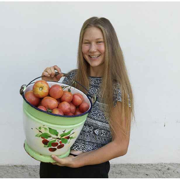 Culina Botanica Rajče Big Pink