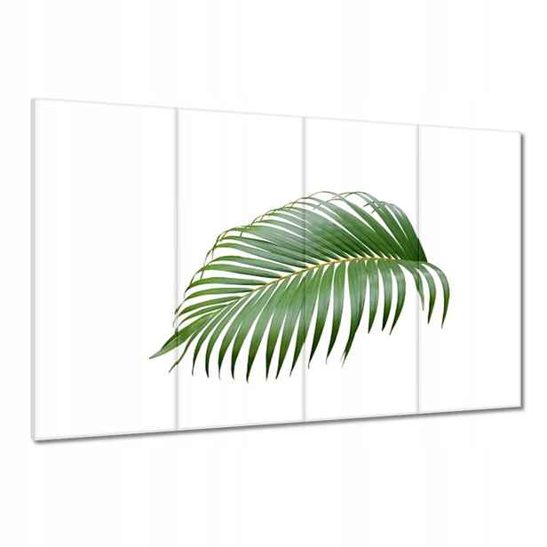Obrazy 120x80 Zelený list Minimalismus