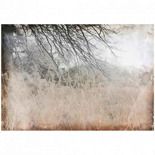 Wallarena FOTOTAPETA louka abstraktní hnědá 350x250 cm