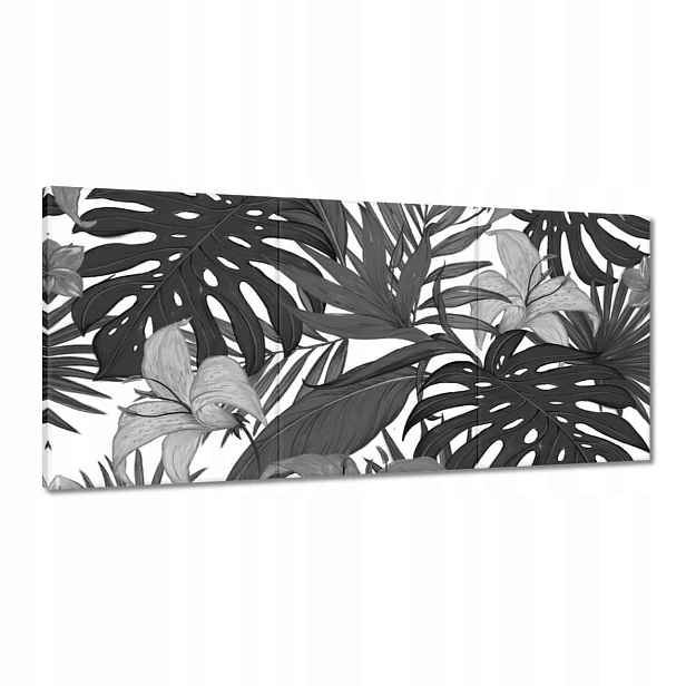 Obrazy 210x100 Černobílá monstera