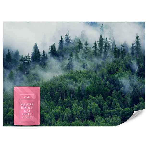 Muralo FOTOTAPETA Les v Mlze Příroda Krajina 3D 250x175