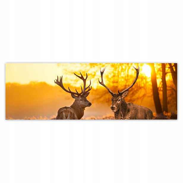 Plakáty 200x66 Jeleni po ránu