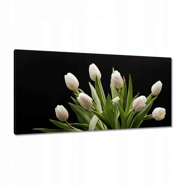 Obrazy 115x55 Bílé Tulipány ve váze