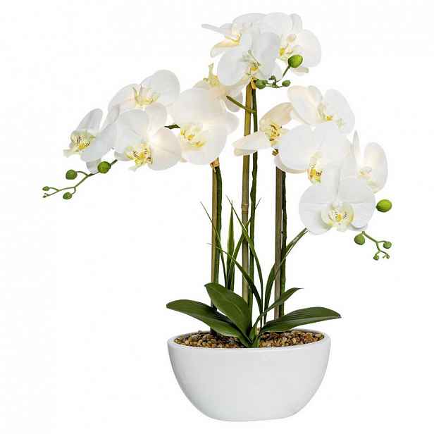 Umělá Rostlina Orchidej, 60cm, S Led Osvětl.