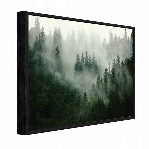 Wallarena ZARÁMOVANÉ obrazy les mlha zelená 100x70 cm