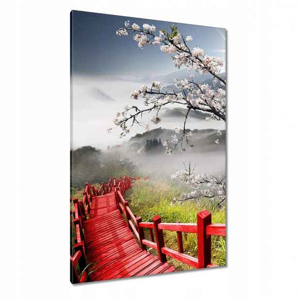 Obrazy 80x120 Červený most v Japonsku