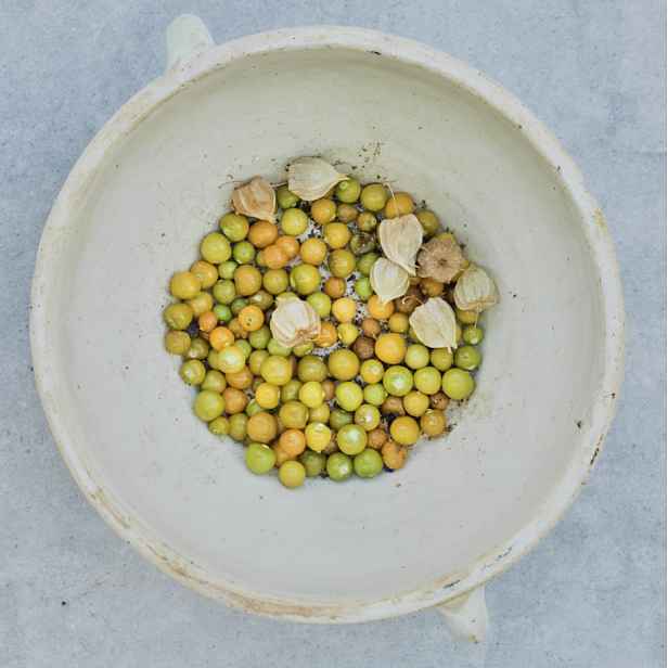 Culina Botanica Mochynì peruánská Ananasová
