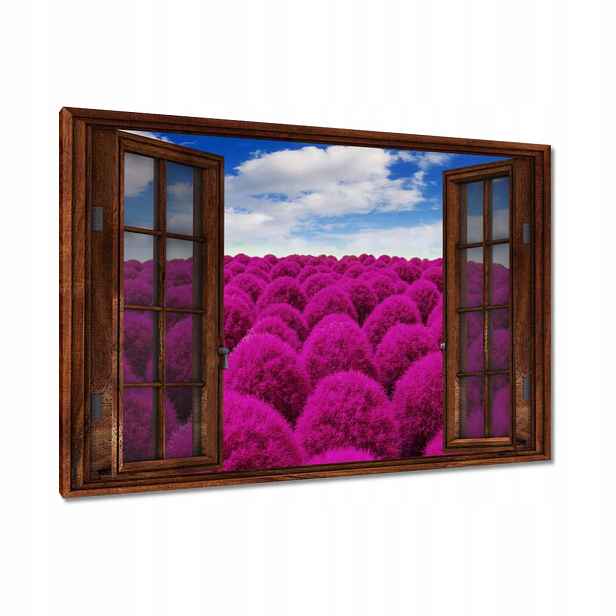 Obrazy 120x80 Výrazná louka Krajina
