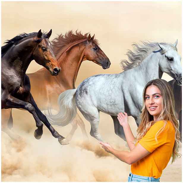 Fototapeta 3D Zvířata Kůň Koně 490x260 KK10W