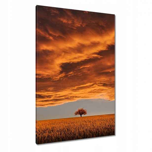 Obrazy 80x120 Oranžové nebe