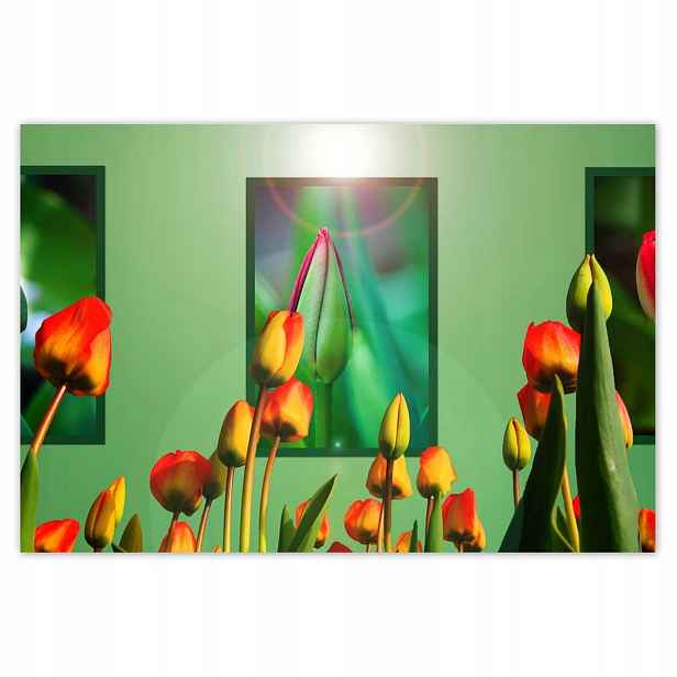 Plakáty 200x135 Tulipány Květiny