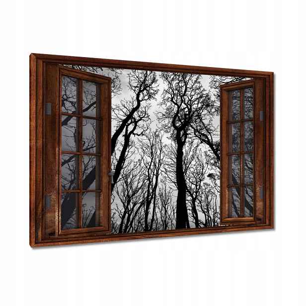 Obrazy 120x80 Les Stromy Pohled zdola