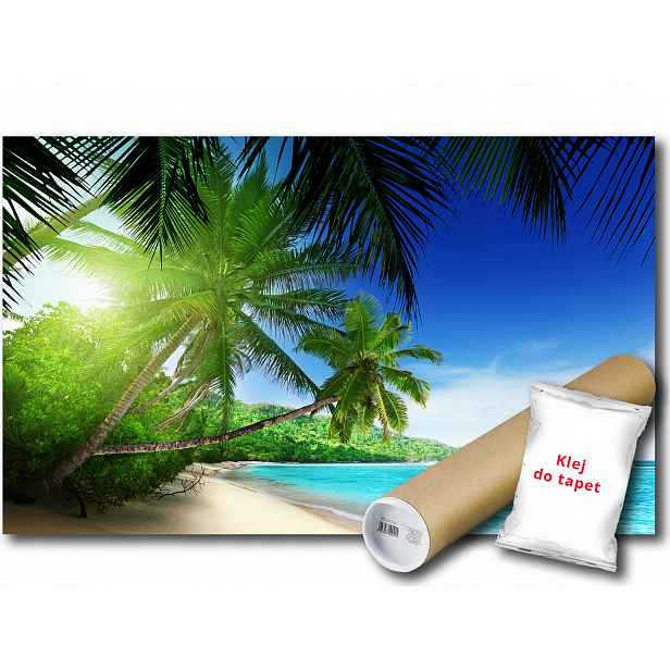 Vinylová fototapeta pláž moře oceán palmy slunce relax dovolená 152x104