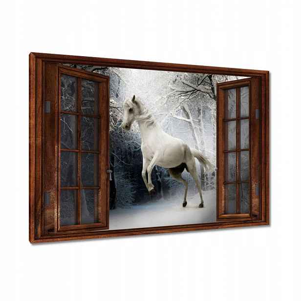 Obrazy 120x80 Bílý rumák