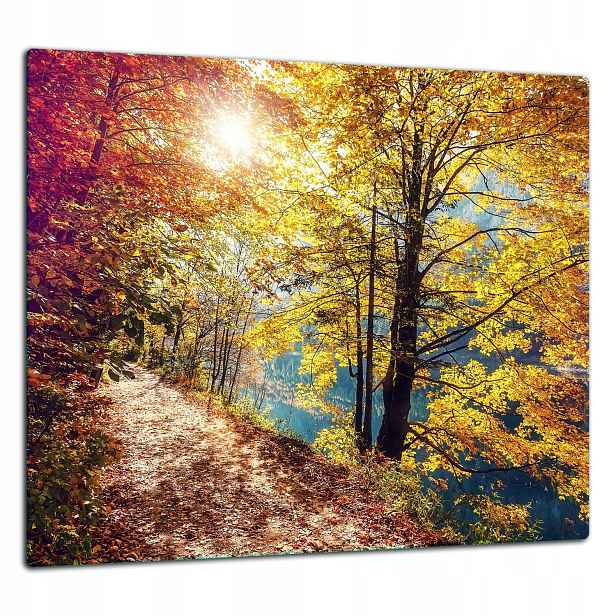 7v1 Skleněná Ochranná Deska Panel Lepidlo 65x60 Krajina