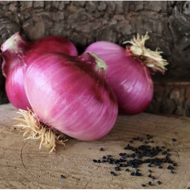 Culina Botanica Cibule červená "Red Creole"