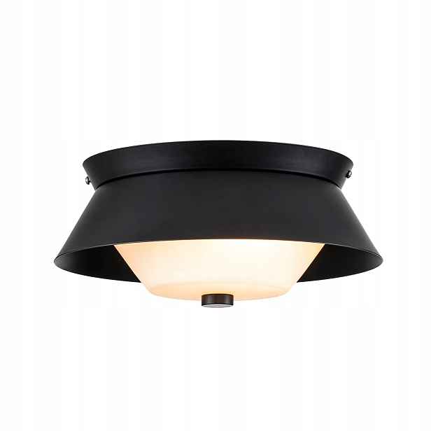 Stropní Svítidlo stropní koupelnový industriální černý bílý kulatý 25 cm Elstead