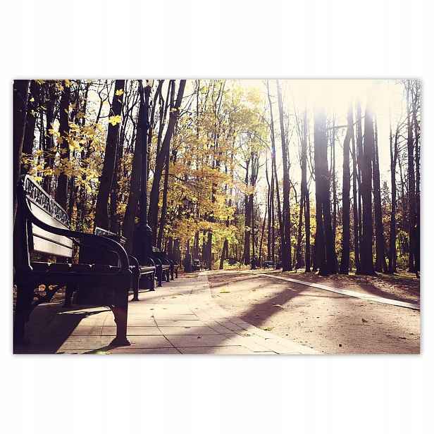 Plakáty 200x135 Městský park Krajina