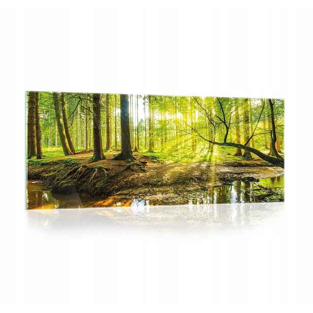 Obraz Na Skle Sklený Les Příroda Pohled Do Koupelny Kuchyně Velký 125x50