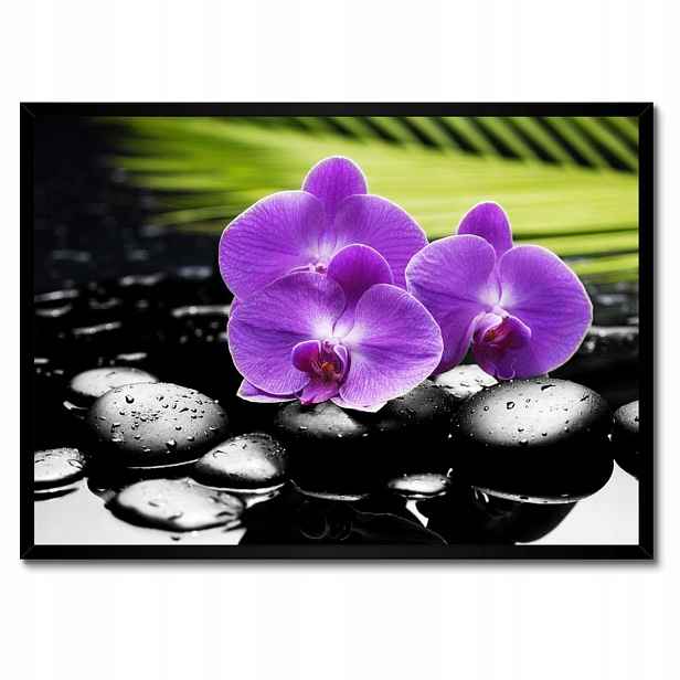 Plakáty v rámu 70x50 Fialové orchideje