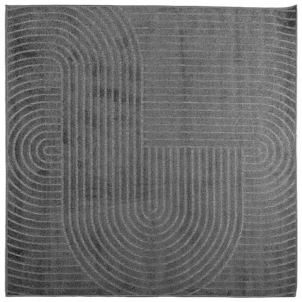 vidaXL Koberec do interiéru a exteriéru PALMERAS Antracit 200 x 200 cm