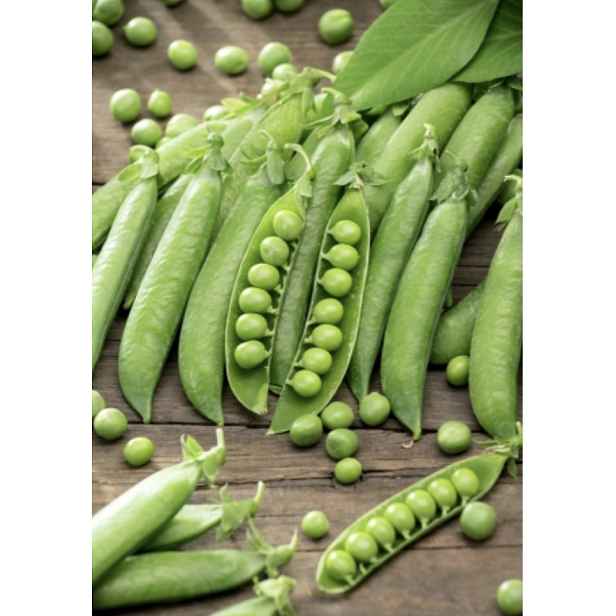 Culina Botanica Hrách dřeňový Meteor