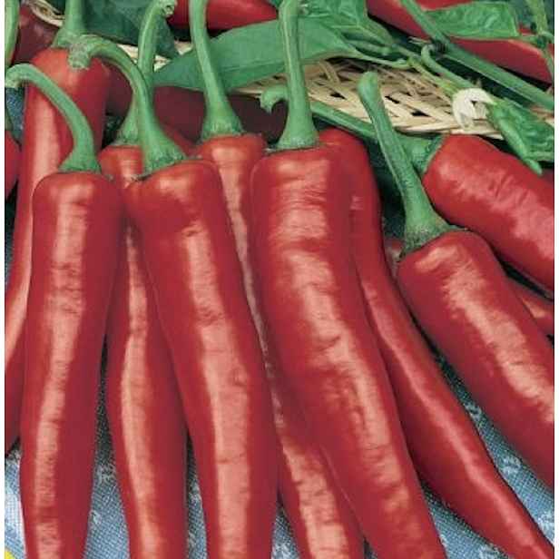 Culina Botanica Paprika Žitava